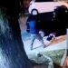 SP – Jovem é morta a tiros na porta da escola e ex-namorado é suspeito