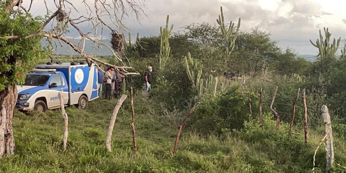 Idosa de 86 anos que estava desaparecida é encontrada morta