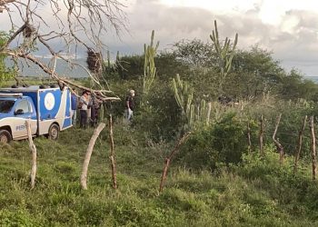 Idosa de 86 anos que estava desaparecida é encontrada morta