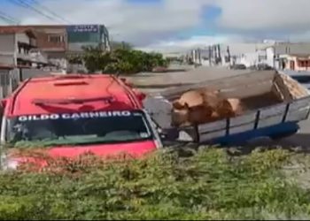 Vídeo: reboque com dois cavalos se desprende de carro e atinge ambulância do Águia Resgate