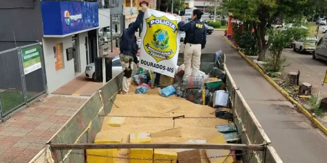 MS – PRF faz a maior apreensão de maconha do ano em Ponta Porã
