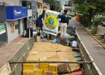 MS – PRF faz a maior apreensão de maconha do ano em Ponta Porã