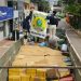 MS – PRF faz a maior apreensão de maconha do ano em Ponta Porã