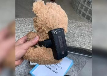 CE – Urso de pelúcia é encontrado com tornozeleira eletrônica