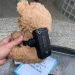 CE – Urso de pelúcia é encontrado com tornozeleira eletrônica
