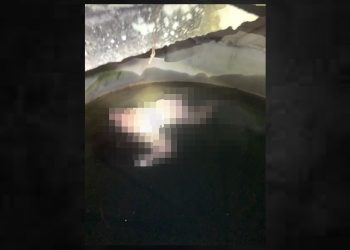 Mulher é encontra morta dentro de cisterna de casa abandonada