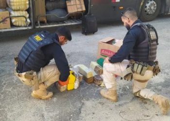 Maconha é apreendida com passageiro de ônibus na BR-116 em Feira de Santana