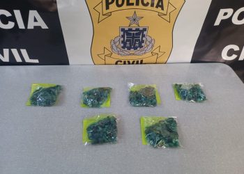 Supostas esmeraldas são apreendidas durante operação