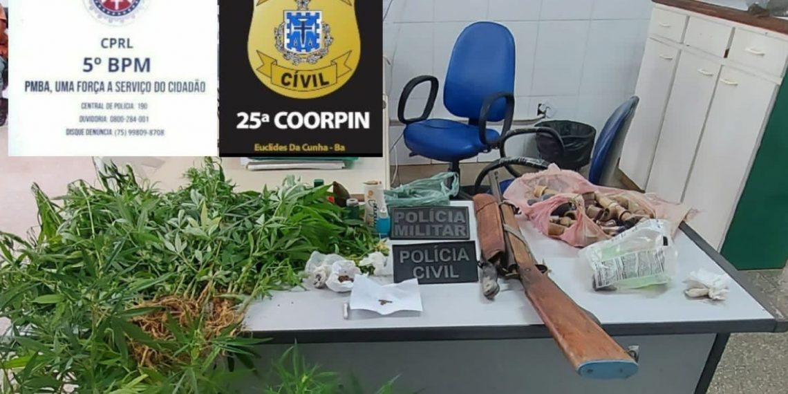 Roça de maconha é descoberta em povoado de Quijingue
