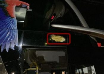 América-RN denuncia ataque a ônibus após jogo contra o Jacuipense pela Série D