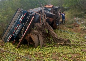 Motorista de caminhão carregado com laranjas morre em capotamento na BR 116 Norte