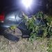 Brigada Anjos Jacuipenses presta socorro a casal vítima de acidente na BA 120
