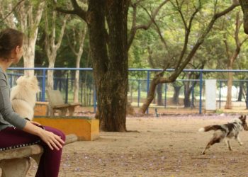 Primeiro caso de varíola dos macacos em cães no Brasil é identificado em Minas