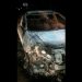 Carro é encontrado destruído pelo fogo na zona rural de Riachão do Jacuípe