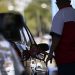 Petrobras anuncia redução do preço do diesel nas refinarias a partir de hoje (04)