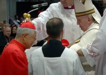 Papa Francisco empossa 20 novos cardeais