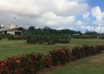 Mulher natural de Serrinha morre após ser atingida por peça de guindaste em Salvador