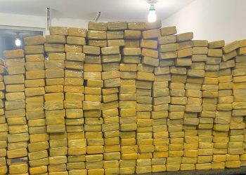 310 kg de maconha são apreendidos em carro no Recôncavo