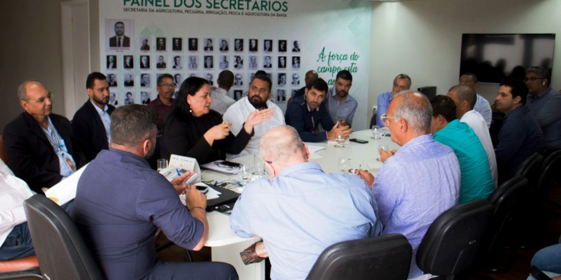 SEAGRI recebe representantes da cadeia da sisalicultura