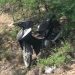 Homem sofre acidente de moto, é socorrido e morre no Hospital de Retirolândia