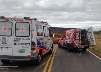 Caminhão carregado de madeira tomba na BA 120 e deixa dois feridos