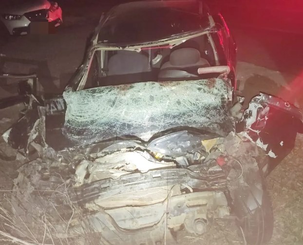 Motorista desvia de jegue, invade a contramão e bate em caminhão na BR 407