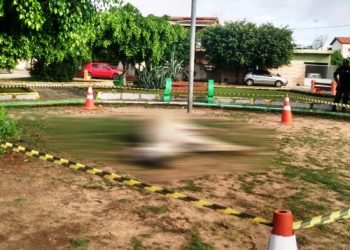 Animal morre eletrocutado após encostar em poste de metal em praça