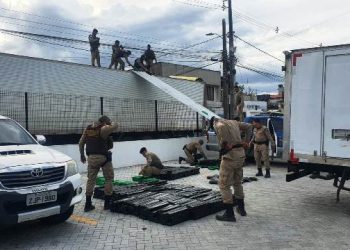 Feira: Polícia apreende caminhão-baú carregado com frango e uma tonelada de maconha