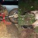 Tanquinho – Motociclista morre em colisão com cavalo na BA 411