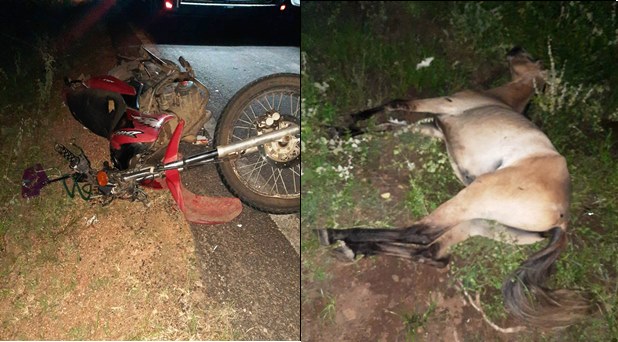 Tanquinho – Motociclista morre em colisão com cavalo na BA 411