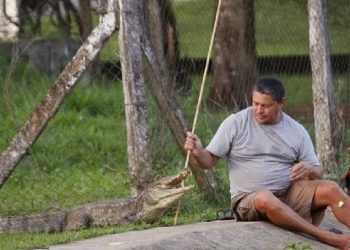 AC – Professor vira amigo de jacaré e pesca para alimentar o bicho