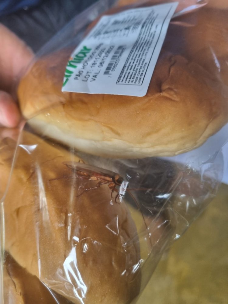 TCM faz vistoria em escolas municipais da Bahia; veja algumas irregularidades encontradas