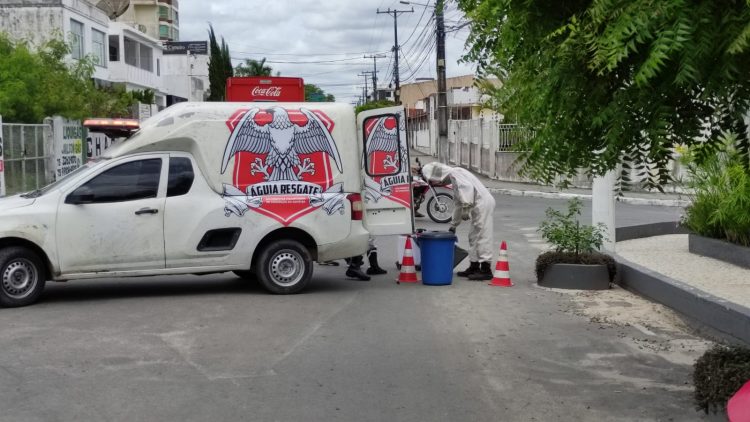 Após algumas pessoas serem picadas por abelhas, Águia Resgate desmancha enxame no centro da cidade