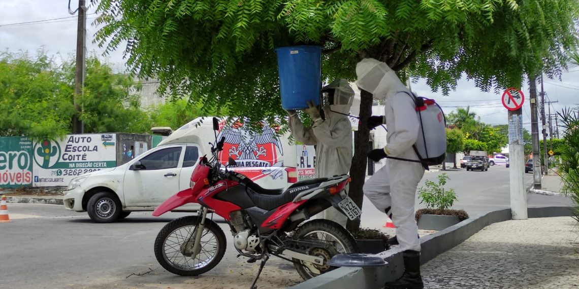 Após algumas pessoas serem picadas por abelhas, Águia Resgate desmancha enxame no centro da cidade
