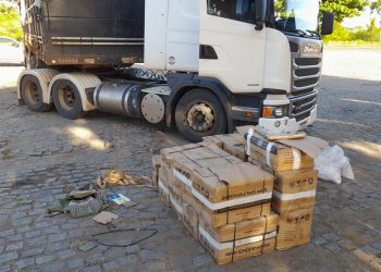 Polícia apreende cerca de uma tonelada de maconha e diz que droga seria vendida no carnaval da BA