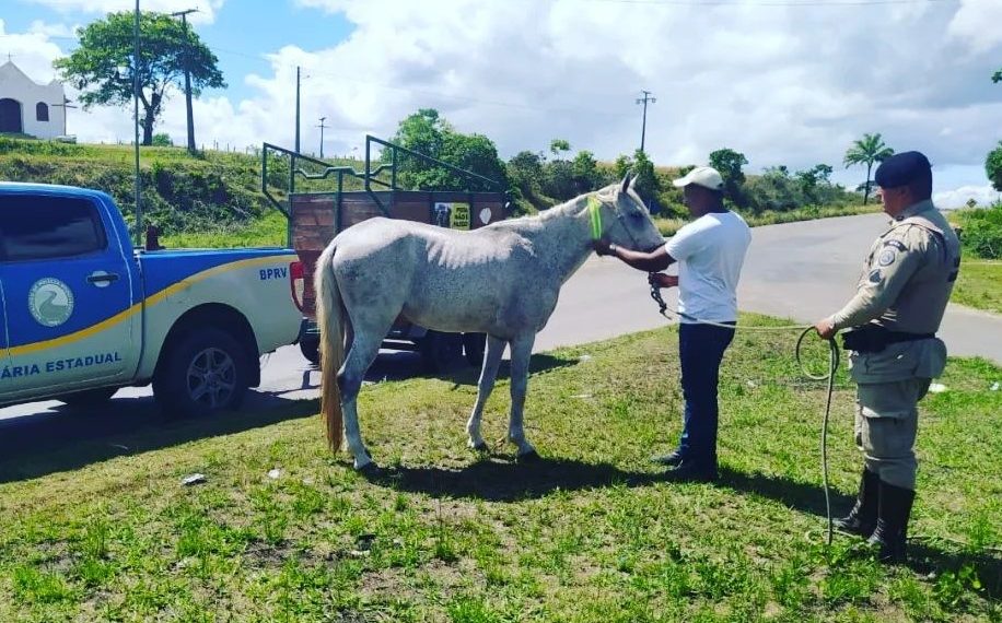 BPRv retoma projeto Pista não é Pasto nas estradas baianas