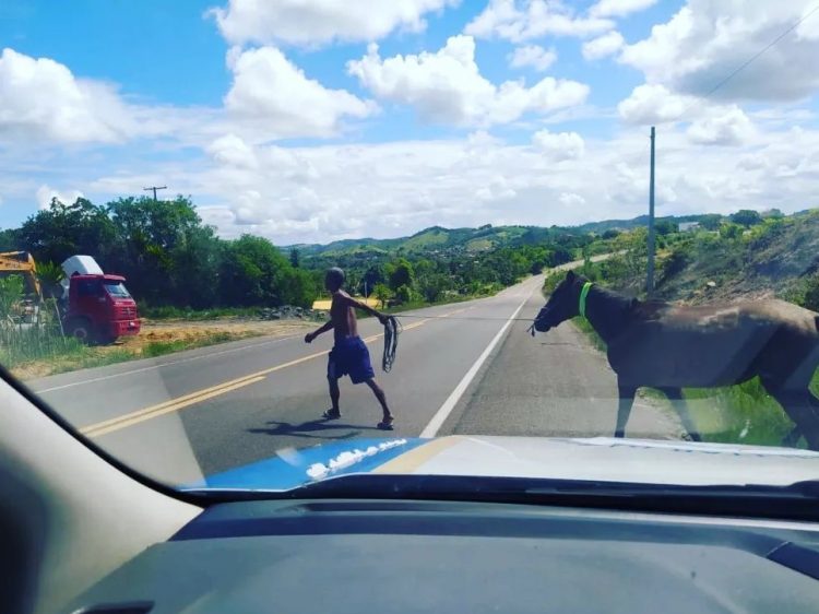BPRv retoma projeto Pista não é Pasto nas estradas baianas