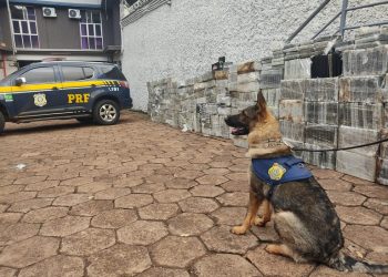 Em Mato Grosso do Sul, PRF faz maior apreensão de cocaína da história