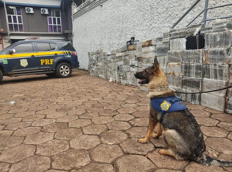 Em Mato Grosso do Sul, PRF faz maior apreensão de cocaína da história
