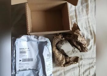 Professor compra celular de R$ 6 mil através de aplicativo recebe pedra