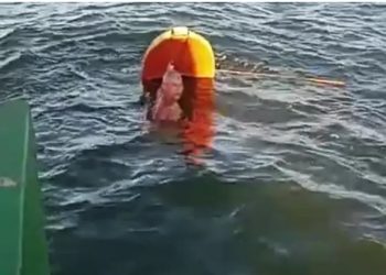 Mulher morre após canoa naufragar em região turística da Bahia