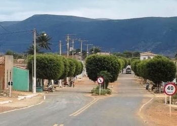 Aposta feita em Ourolândia-BA ganha sozinha quase R$ 9 milhões na Loto Quina