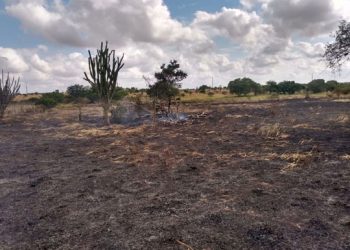 Corpo é encontrado carbonizado em pneus dentro de fazenda