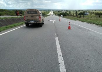 Homem é assassinado com mais de 20 tiros na BR-116