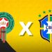 Na primeira partida pós-Copa do Mundo, Brasil enfrenta surpresa da competição