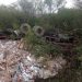 Caminhoneiro de 31 anos morre em capotamento na BR 410