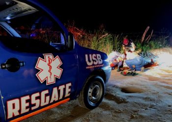 Gado em estrada provoca terceiro acidente em três dias