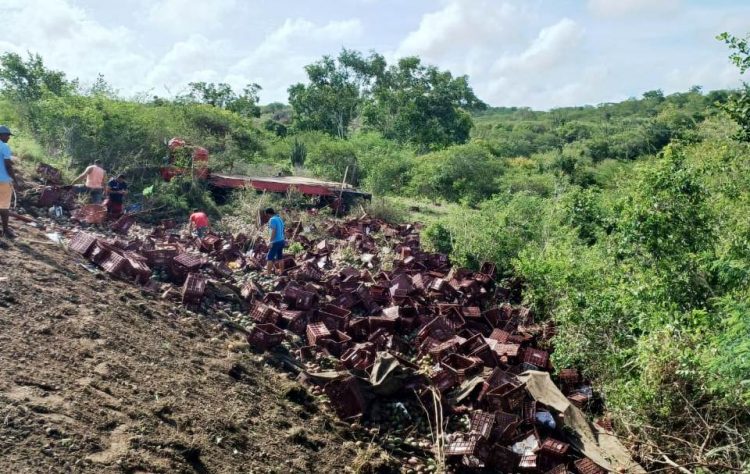 Caminhoneiro é socorrido com escoriações por todo corpo e suspeita de fratura em capotamento na BR 324