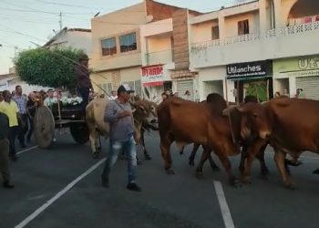 Caixão com corpo de fazendeiro é levado para o cemitério em carro de bois