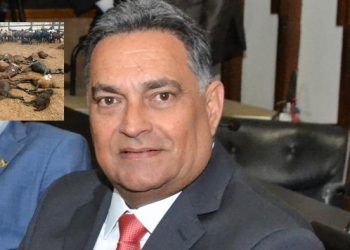 Prejuízos recorrentes – Em reunião na ALBA deputado Luciano Araújo denuncia extermínio de caprino e ovinos na região do sisal